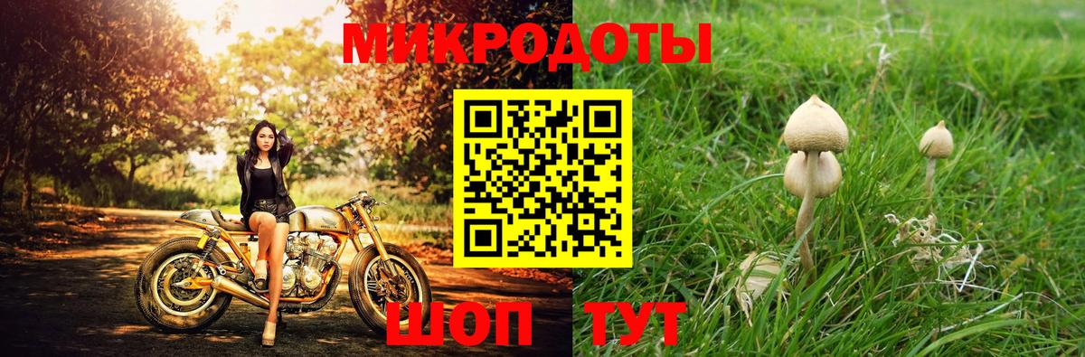 Псилоцибиновые грибы Psilocybe  Вход с VPN  Ноябрьск 